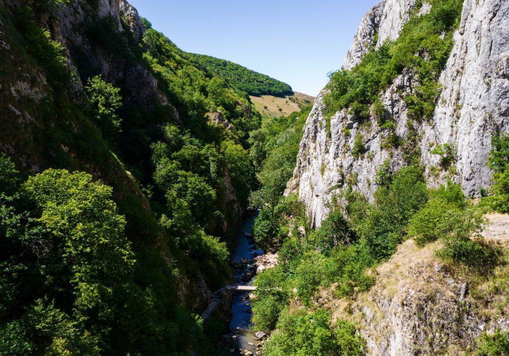 Séjourner au Chalet Le Jouvence : découvrir le Haut-Jura en toute saison